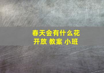 春天会有什么花开放 教案 小班